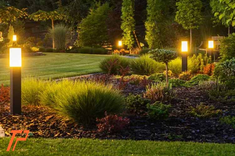 نور در حیاط 